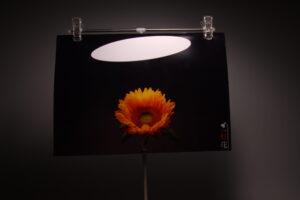 一灯花カレンダー制作の表紙サンプル